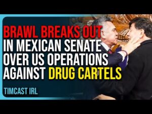 Brawl Breaks Out In Mexican Senate In Viral Video Over US Operations Against Drug Cartels