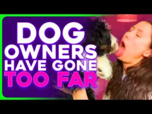 Dogs Have INVADED Public Life