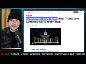 Democrats SHUT DOWN Government, Demanded Healthcare For Illegal Immigrants | Tim Pool