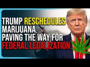 Trump RESCHEDULES Marijuana, Paving The Way For Federal Legalization