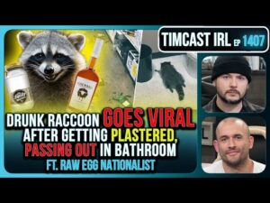 Drunk Raccoon Becomes Top US Story After Getting Plastered, Passing Out In Bathroom | Timcast IRL