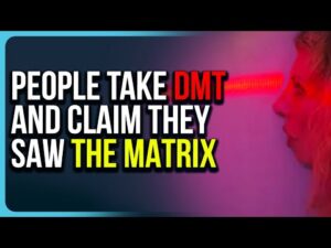 People Take DMT And Claim They Saw The Matrix